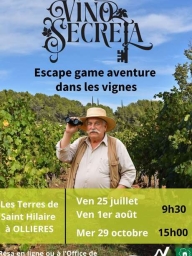 Vino secreta : escape game aventure dans les vignes