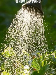 Cultiver l'eau au jardin  #RDVduParc