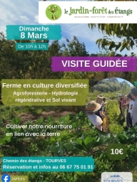 Visite guidée 🌱 Le Jardin-Forêt des Etangs
