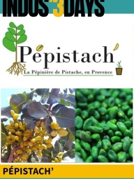 Visite de Pepistach' | Indus'3 Days