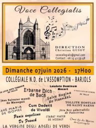 Concert : Voce Collegialis - chants sacrés
