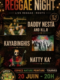 Soirée Raggae