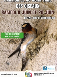 Comptage des oiseaux