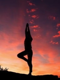 Yoga dans les vignes