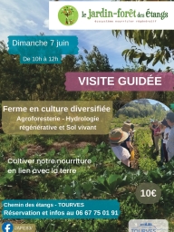 Visite guidée au Jardin-forêt des Etangs