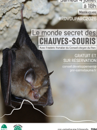 #RDVduParc • Le monde secret des chauves-souris