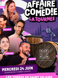 Soirée stand up en plein air : Julien Vinh, Bedou, Dom la Greca, Marion Augine, Isabelle Guiot | Affaire de comédie la tournée