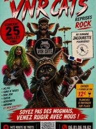 Concert rock – VNR Cats à Pourrières – reprises live