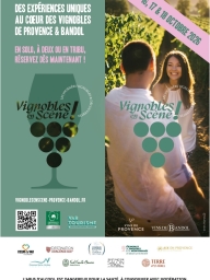 Vignobles en scène en Provence Verte & Verdon