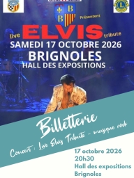 Concert "Live Elvis Tribute" musique rock à Brignoles