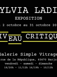 Vernissage "Niveau critique" de Sylvia Landic