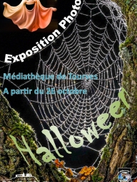 Exposition photo Halloween