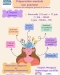 Préparation mentale aux examens - Espace Jeunesse