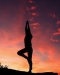 Yoga dans les vignes